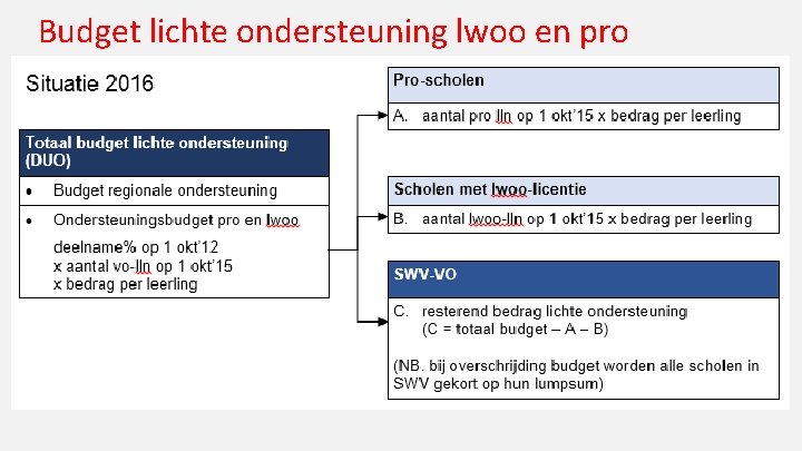 Budget lichte ondersteuning lwoo en pro 