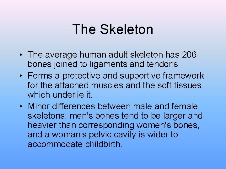 The Skeleton • The average human adult skeleton has 206 bones joined to ligaments