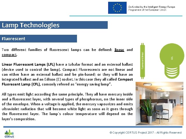 Lamp Technologies Fluorescent Two different families of fluorescent lamps can be defined: linear and