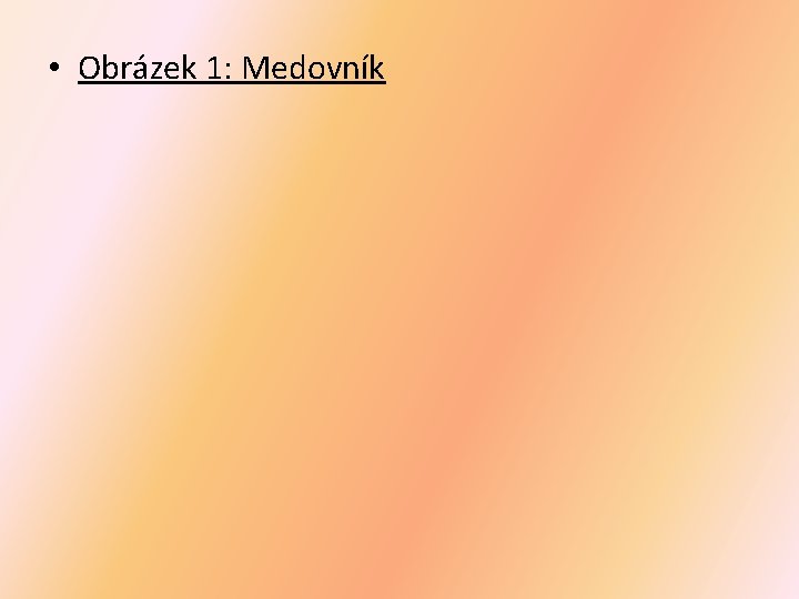  • Obrázek 1: Medovník 