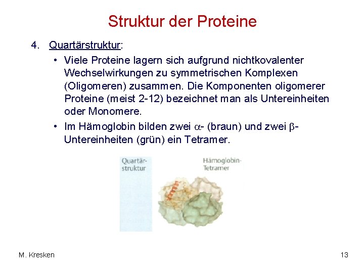 Struktur der Proteine 4. Quartärstruktur: • Viele Proteine lagern sich aufgrund nichtkovalenter Wechselwirkungen zu