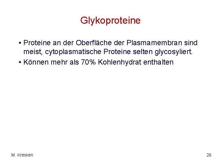 Glykoproteine • Proteine an der Oberfläche der Plasmamembran sind meist, cytoplasmatische Proteine selten glycosyliert.