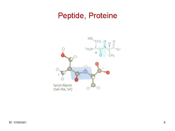 Peptide, Proteine M. Kresken 4 