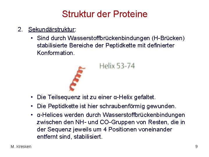 Struktur der Proteine 2. Sekundärstruktur: • Sind durch Wasserstoffbrückenbindungen (H-Brücken) stabilisierte Bereiche der Peptidkette