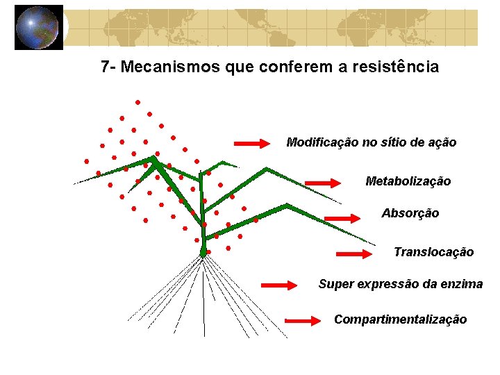 7 - Mecanismos que conferem a resistência Modificação no sítio de ação Metabolização Absorção