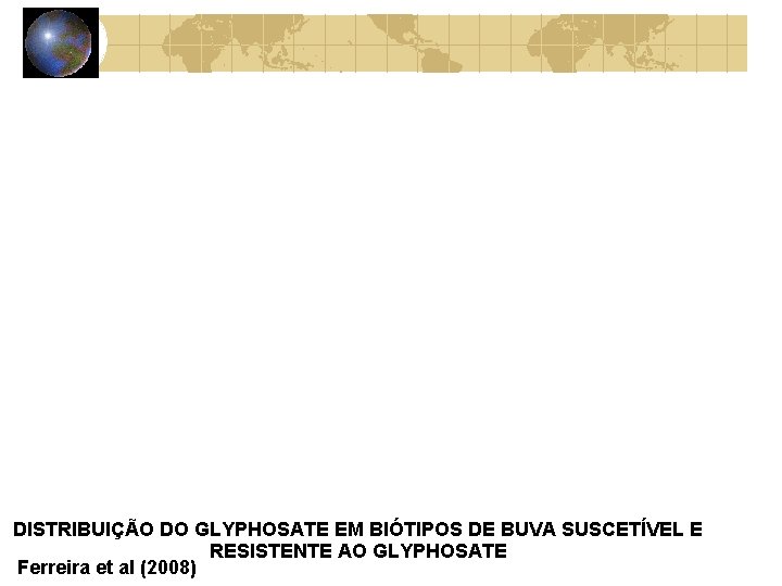 DISTRIBUIÇÃO DO GLYPHOSATE EM BIÓTIPOS DE BUVA SUSCETÍVEL E RESISTENTE AO GLYPHOSATE Ferreira et