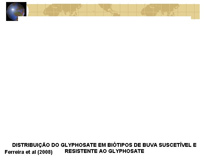 DISTRIBUIÇÃO DO GLYPHOSATE EM BIÓTIPOS DE BUVA SUSCETÍVEL E RESISTENTE AO GLYPHOSATE Ferreira et