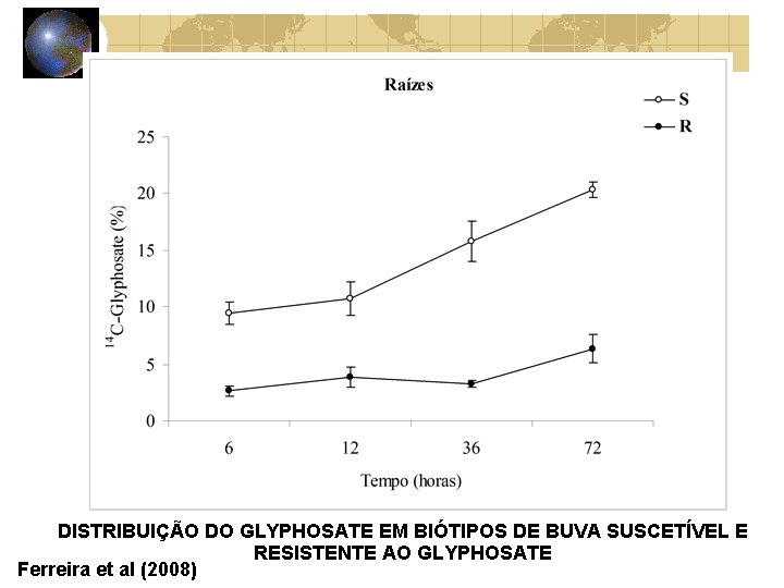 DISTRIBUIÇÃO DO GLYPHOSATE EM BIÓTIPOS DE BUVA SUSCETÍVEL E RESISTENTE AO GLYPHOSATE Ferreira et