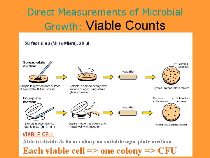 Direct Measurements of Microbial Growth: Viable Counts Surface drop (Miles-Misra): 20 μl ( 1