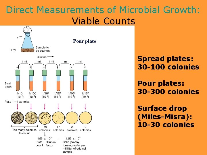 Direct Measurements of Microbial Growth: Viable Counts Pour plate Spread plates: 30 -100 colonies