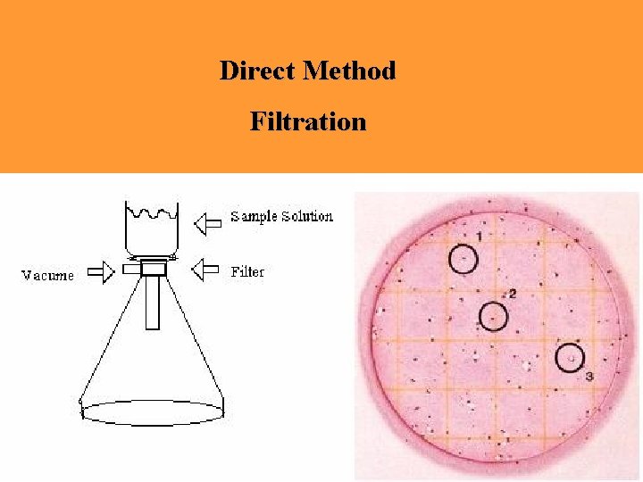 Direct Method Filtration 