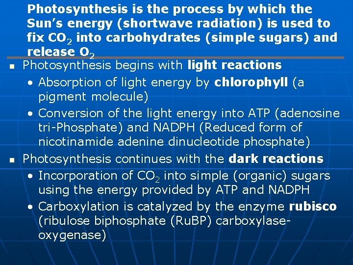 n n Photosynthesis is the process by which the Sun’s energy (shortwave radiation) is