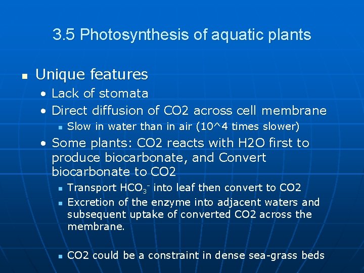 3. 5 Photosynthesis of aquatic plants n Unique features • Lack of stomata •