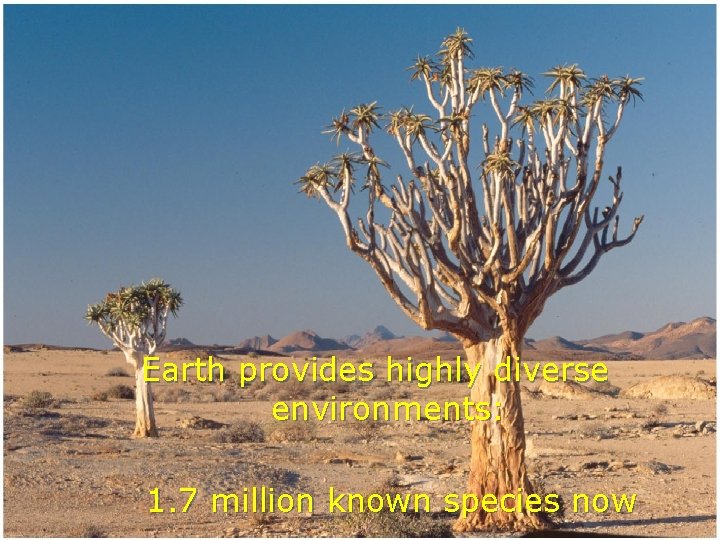 Earth provides highly diverse environments: 1. 7 million known species now 