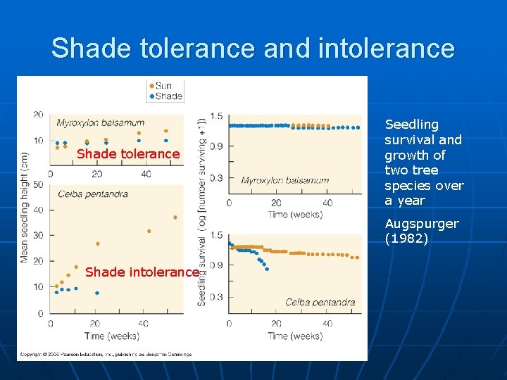 Shade tolerance and intolerance Shade tolerance Seedling survival and growth of two tree species