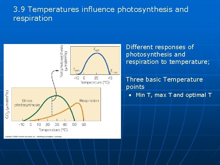 3. 9 Temperatures influence photosynthesis and respiration n n Different responses of photosynthesis and