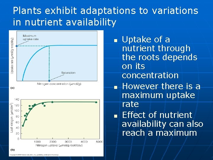 Plants exhibit adaptations to variations in nutrient availability n n n Uptake of a