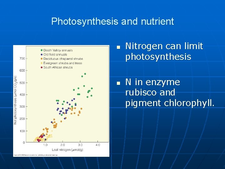 Photosynthesis and nutrient n n Nitrogen can limit photosynthesis N in enzyme rubisco and