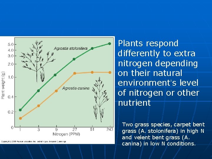 n Plants respond differently to extra nitrogen depending on their natural environment’s level of