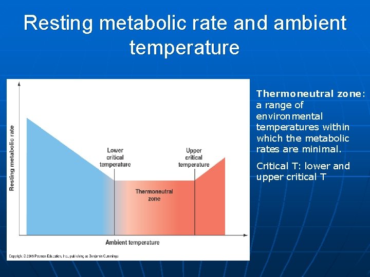 Resting metabolic rate and ambient temperature Thermoneutral zone: a range of environmental temperatures within