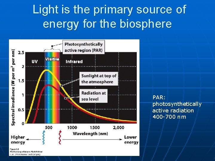 Light is the primary source of energy for the biosphere PAR: photosynthetically active radiation