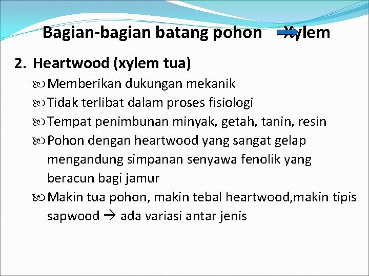 Bagian-bagian batang pohon Xylem 2. Heartwood (xylem tua) Memberikan dukungan mekanik Tidak terlibat dalam