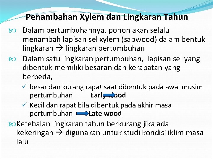 Penambahan Xylem dan Lingkaran Tahun Dalam pertumbuhannya, pohon akan selalu menambah lapisan sel xylem