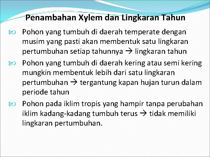 Penambahan Xylem dan Lingkaran Tahun Pohon yang tumbuh di daerah temperate dengan musim yang