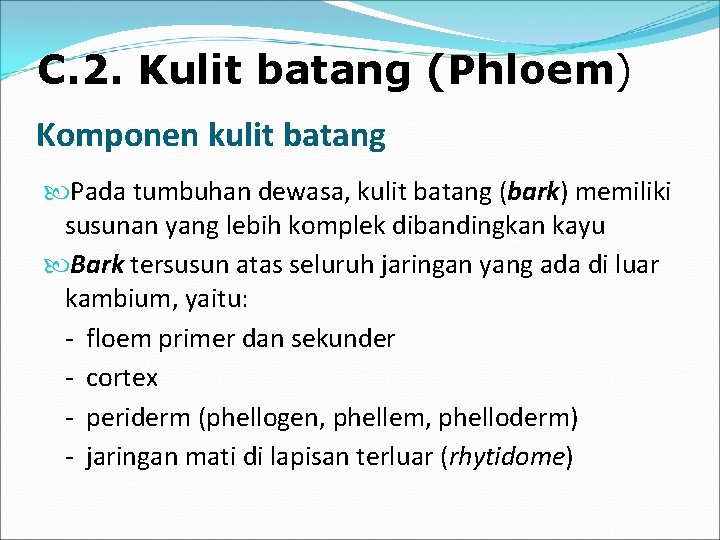 C. 2. Kulit batang (Phloem) Komponen kulit batang Pada tumbuhan dewasa, kulit batang (bark)