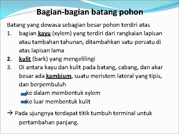 Bagian-bagian batang pohon Batang yang dewasa sebagian besar pohon terdiri atas 1. bagian kayu