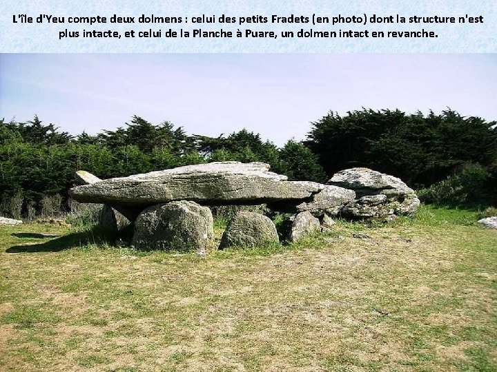 L'île d'Yeu compte deux dolmens : celui des petits Fradets (en photo) dont la