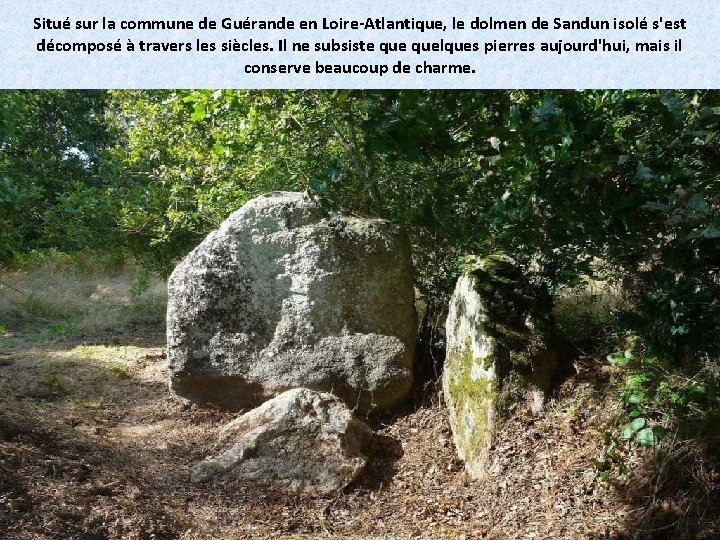 Situé sur la commune de Guérande en Loire-Atlantique, le dolmen de Sandun isolé s'est