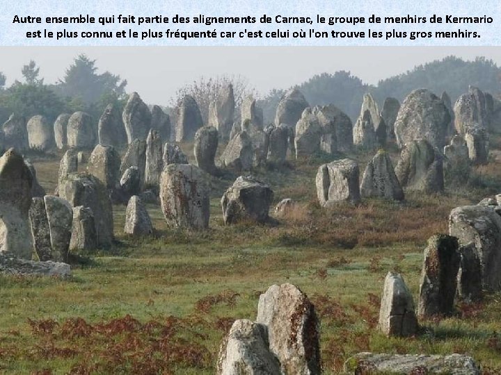 Autre ensemble qui fait partie des alignements de Carnac, le groupe de menhirs de