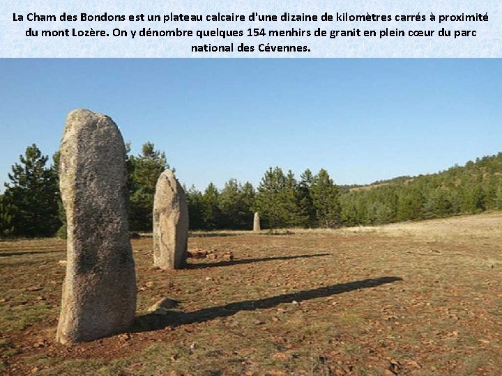 La Cham des Bondons est un plateau calcaire d'une dizaine de kilomètres carrés à