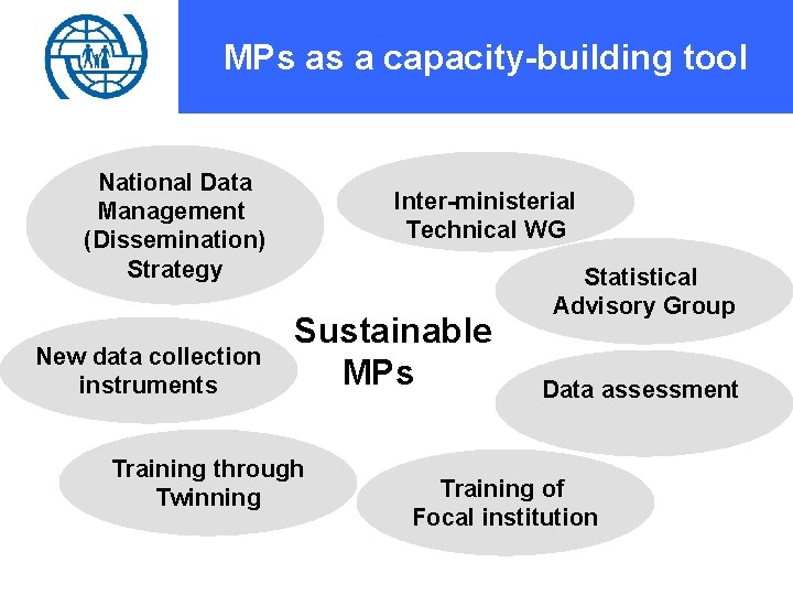 MPs as a capacity-building tool National Data Management (Dissemination) Strategy New data collection instruments