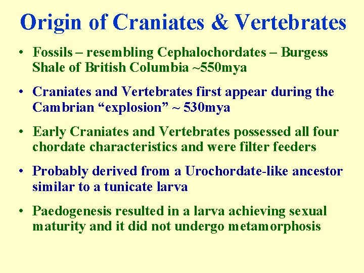 Origin of Craniates & Vertebrates • Fossils – resembling Cephalochordates – Burgess Shale of