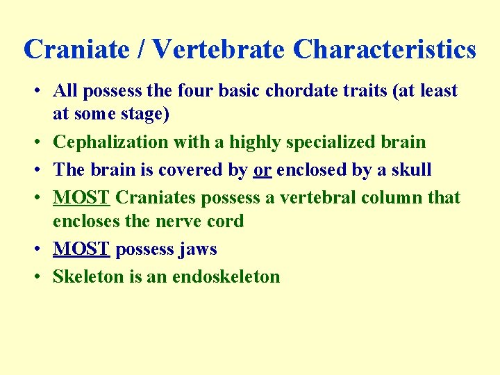 Craniate / Vertebrate Characteristics • All possess the four basic chordate traits (at least