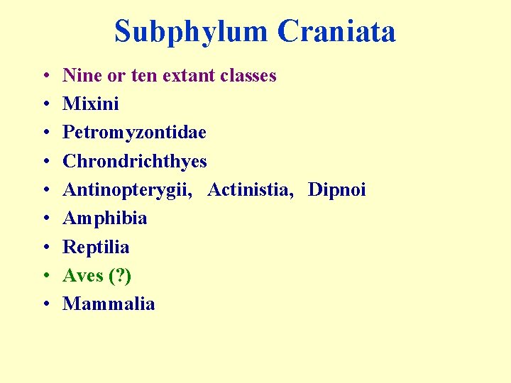 Subphylum Craniata • • • Nine or ten extant classes Mixini Petromyzontidae Chrondrichthyes Antinopterygii,