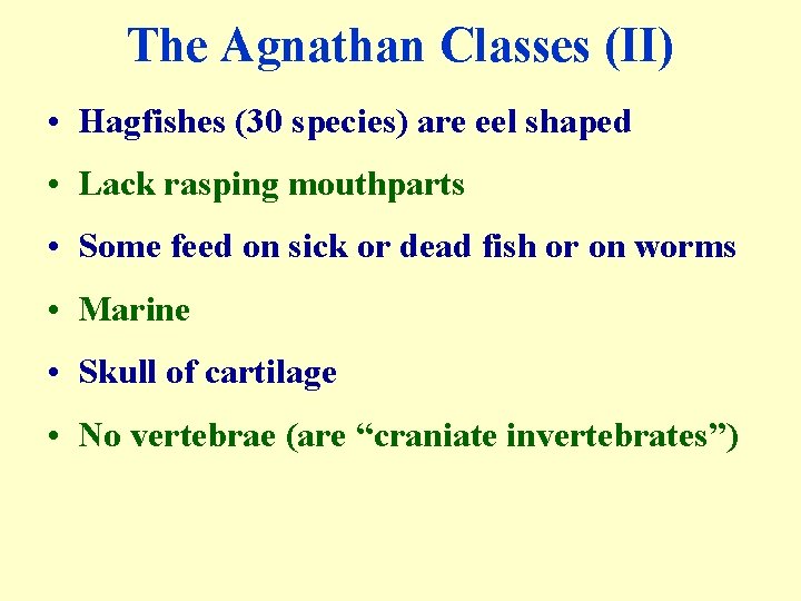 The Agnathan Classes (II) • Hagfishes (30 species) are eel shaped • Lack rasping