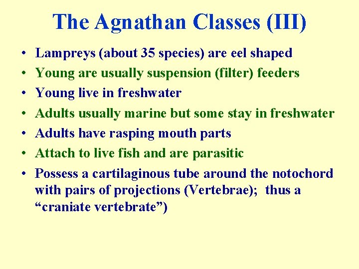 The Agnathan Classes (III) • • Lampreys (about 35 species) are eel shaped Young