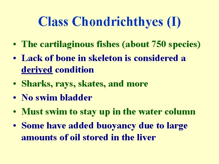 Class Chondrichthyes (I) • The cartilaginous fishes (about 750 species) • Lack of bone