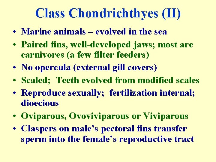 Class Chondrichthyes (II) • Marine animals – evolved in the sea • Paired fins,