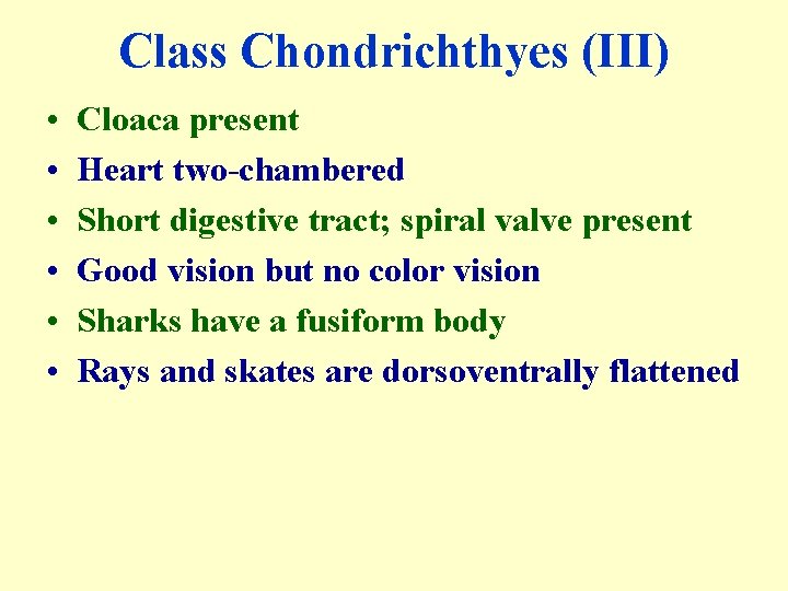 Class Chondrichthyes (III) • • • Cloaca present Heart two-chambered Short digestive tract; spiral