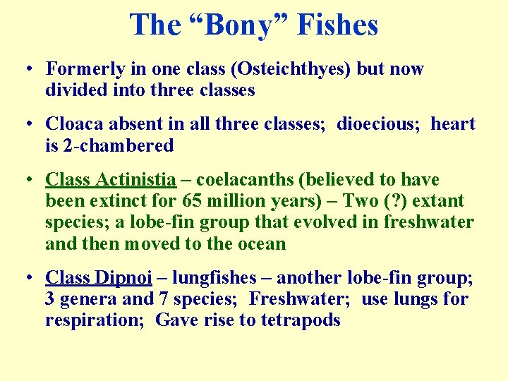 The “Bony” Fishes • Formerly in one class (Osteichthyes) but now divided into three