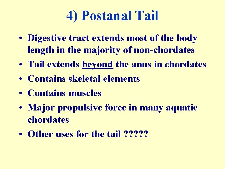 4) Postanal Tail • Digestive tract extends most of the body length in the