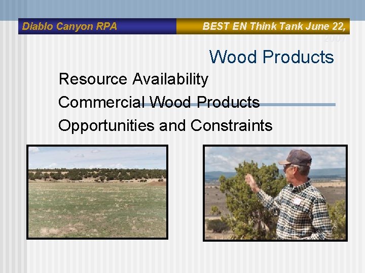 Diablo Canyon RPA BEST EN Think Tank June 22, 2007 Wood Products Resource Availability Diablo Canyon RPA BEST EN Think Tank June 22, 2007 Wood Products Resource Availability