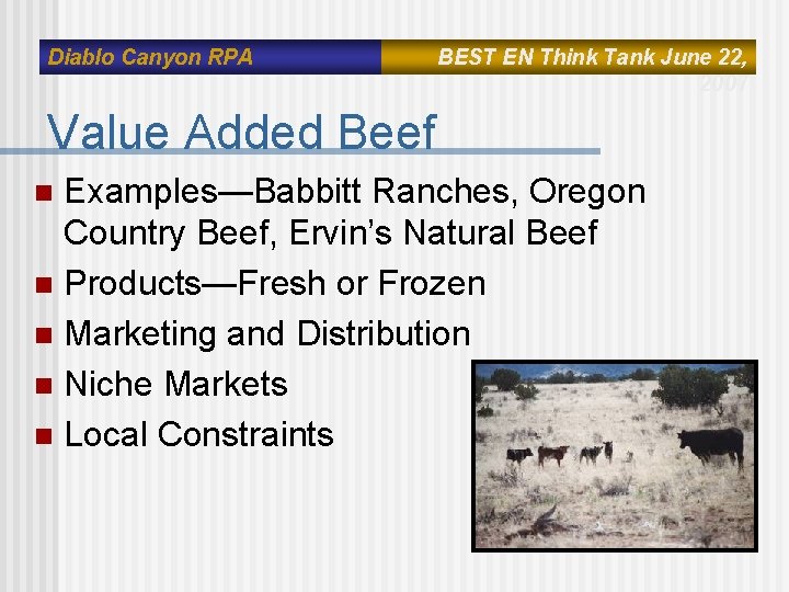 Diablo Canyon RPA BEST EN Think Tank June 22, 2007 Value Added Beef Examples—Babbitt