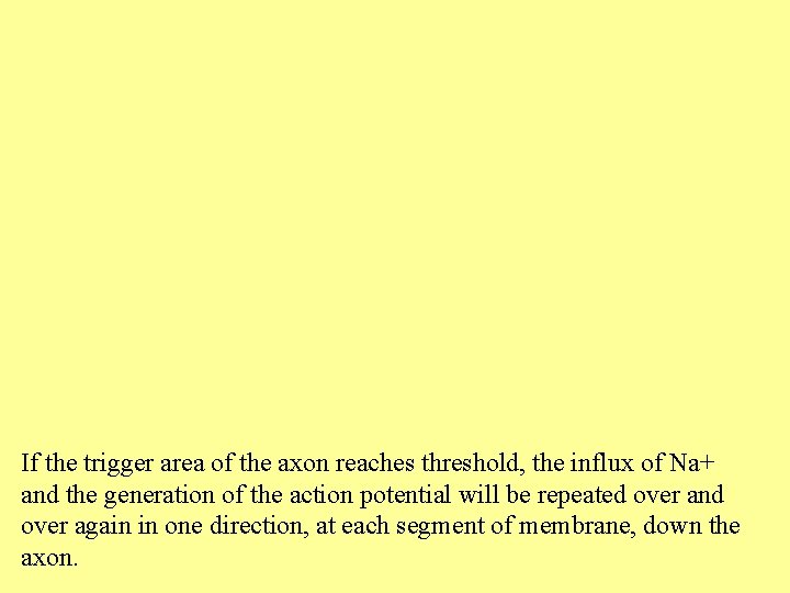 If the trigger area of the axon reaches threshold, the influx of Na+ and