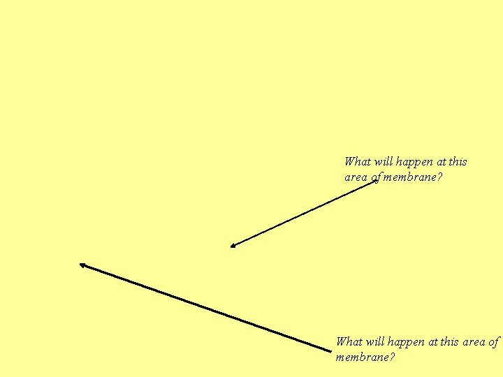 What will happen at this area of membrane? 