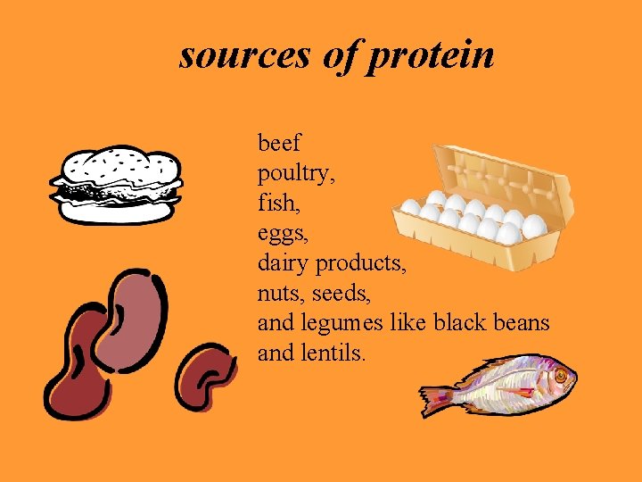 sources of protein beef poultry, fish, eggs, dairy products, nuts, seeds, and legumes like